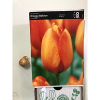 S.BOLBO TULIPAS - UNIDADE S.BOLBO TULIPAS - UNIDADE