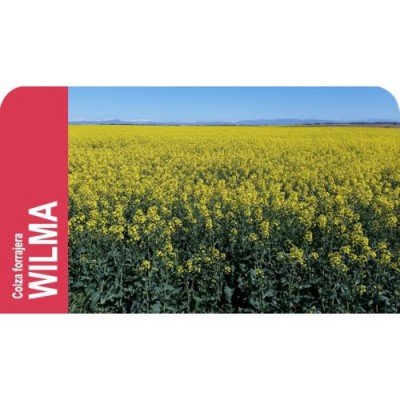 SEMENTE COLZA FORRAGEIRA WILMA      -SC 10 KG