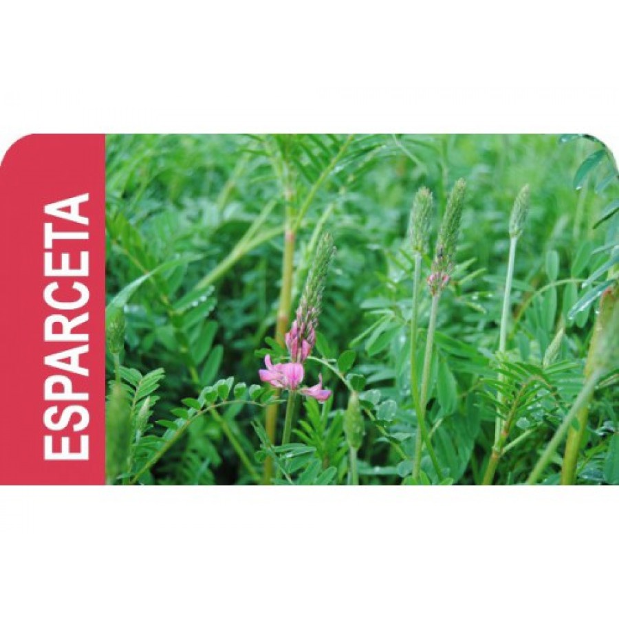 SEMENTE ESPARCETA      - 25KG