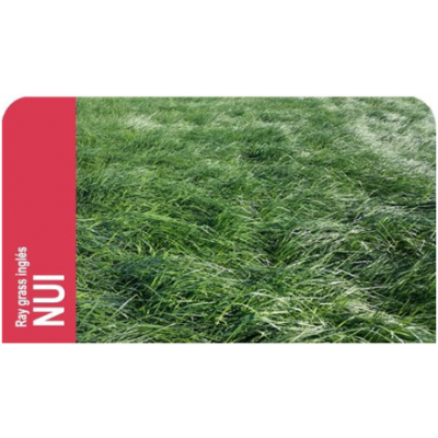 SEMENTE RAY GRASS NUI - SC 25 KILOS