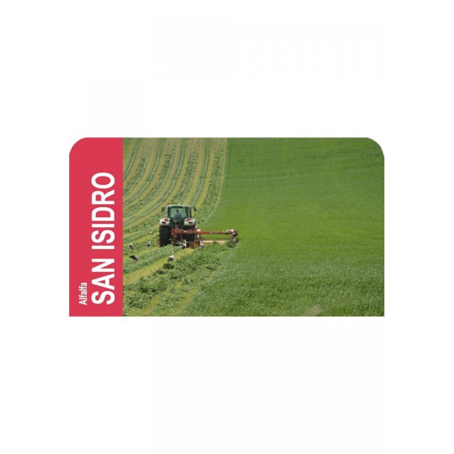 SEMENTE LUZERNA SAN ISIDRO R-1 - SC 25KG SEMENTE LUZERNA SAN ISIDRO R-1 - SC 25KG
