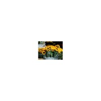 SACO PARA FLORES 500 X 300 X 120   - 2000 UNIDADES