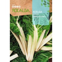 S.ACELGA ROCALBA AMARELA DE LYON