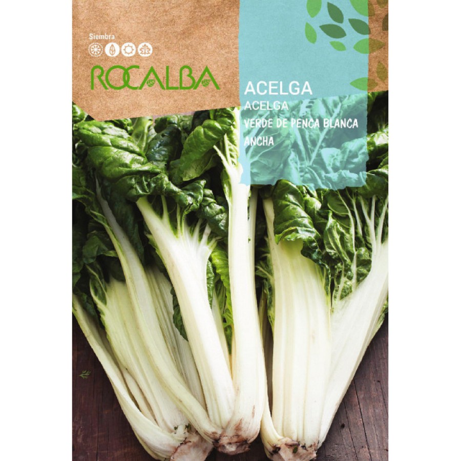 S.ACELGA VERDE PENCA LARGA BRANCA ROCALB S.ACELGA VERDE PENCA LARGA BRANCA ROCALB