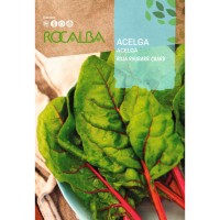 S.ACELGA VERMELHA RHUBARB CHARD