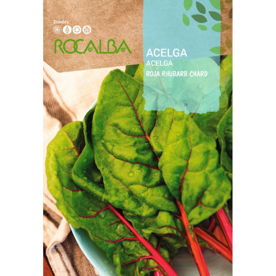 S.ACELGA VERMELHA RHUBARB CHARD