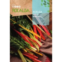 S.ACELGA BRIGHT LIGHTS