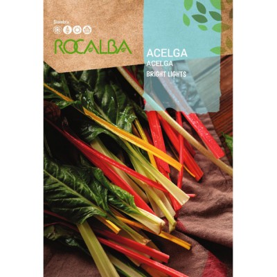 S.ACELGA BRIGHT LIGHTS