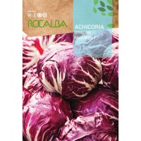 S.CHICORIA ROCALBA PALLA ROSSA 3