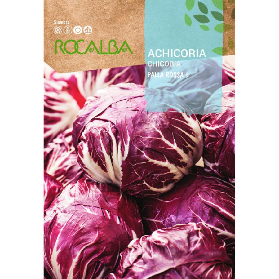 S.CHICORIA ROCALBA PALLA ROSSA 3