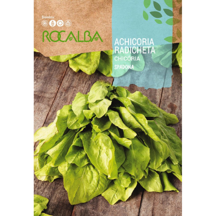 S.CHICORIA ROCALBA GRELEIRA S.CHICORIA ROCALBA GRELEIRA