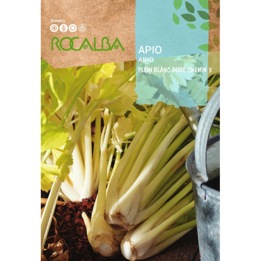 S.AIPO ROCALBA TRONCHUDO DOURADO CHEMIN S.AIPO ROCALBA TRONCHUDO DOURADO CHEMIN