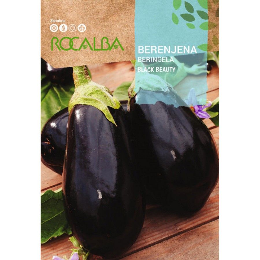 S.BERINJELA ROCALBA PRETA BELE.