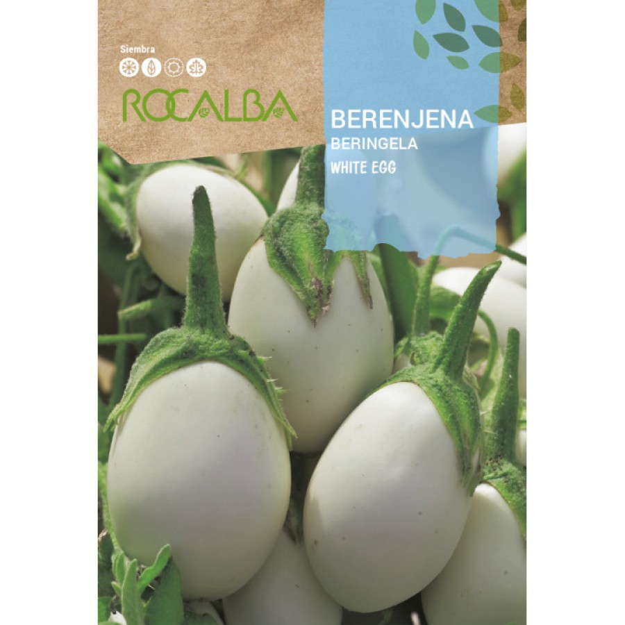 S.BERINGELA ROCALBA BRANCA WHITE EGG