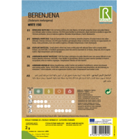 S.BERINGELA ROCALBA BRANCA WHITE EGG