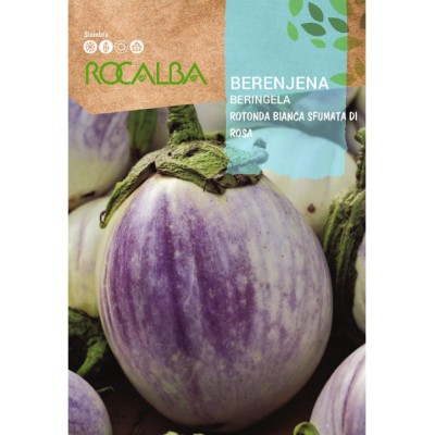 S.BERINJELA ROCALBA ROTINDA BIANCA