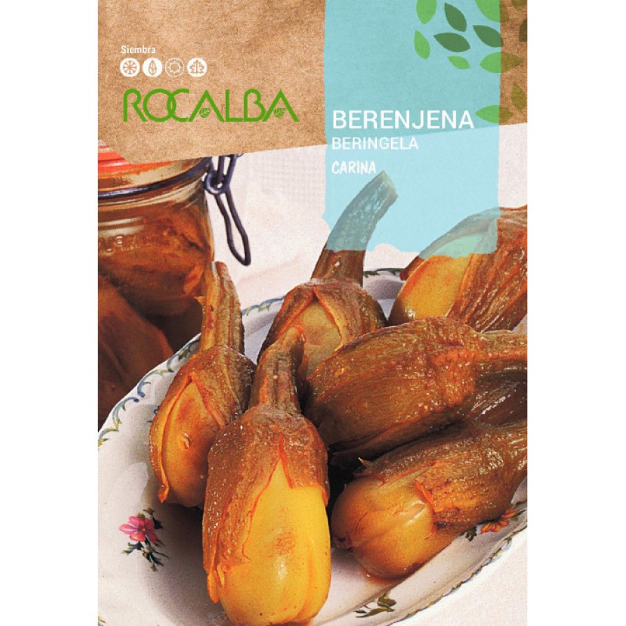 S.BERINGELA ROCALBA DE ALMAGRO