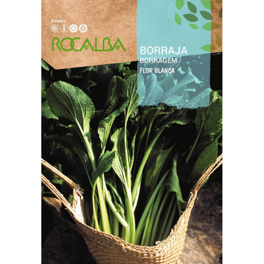 S.BORRAGEM ROCALBA FLOR BRANCA S.BORRAGEM ROCALBA FLOR BRANCA