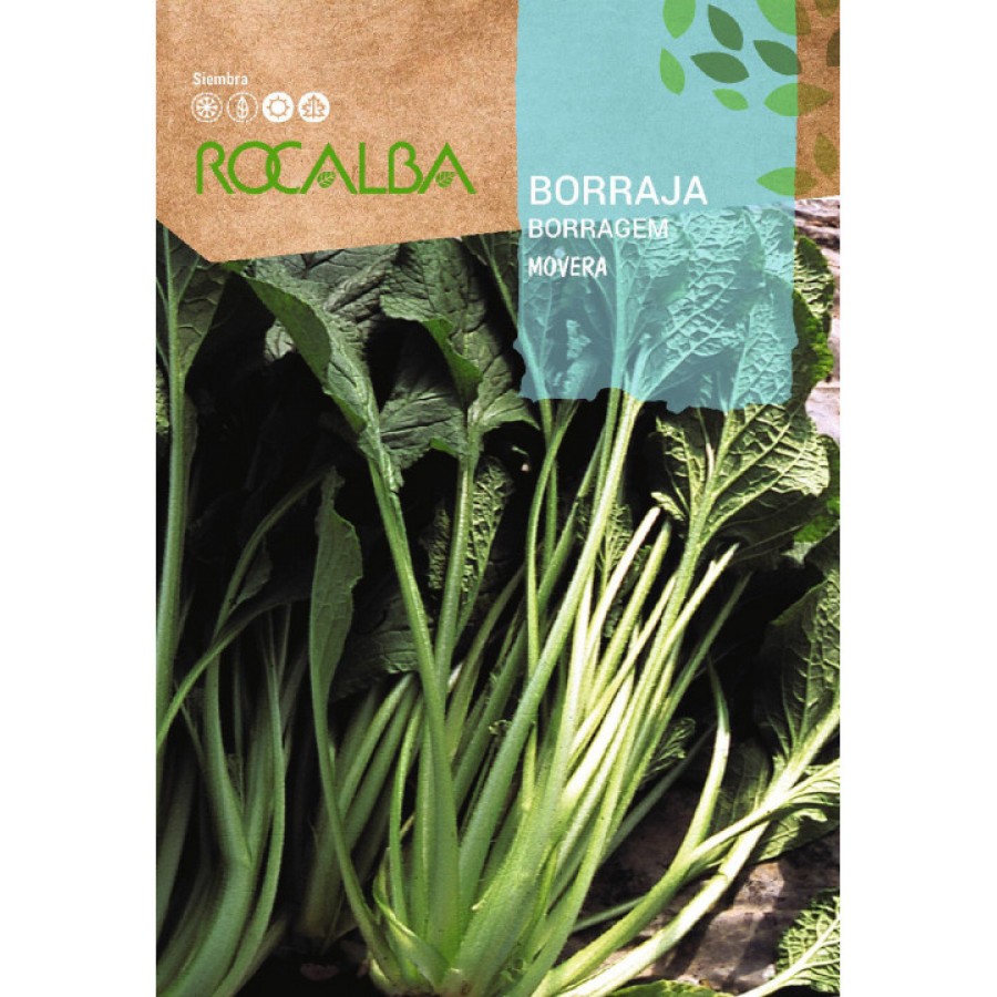S.BORRAGEM MOVERA ROCALBA S.BORRAGEM MOVERA ROCALBA