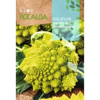 S.BROCOLOS ROCALBA ROMANESCO