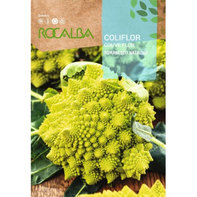 S.BROCOLOS ROCALBA ROMANESCO