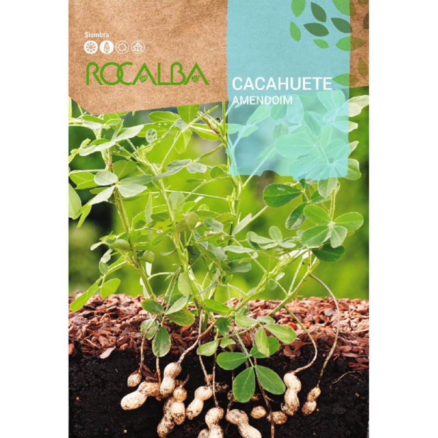 S.AMENDOIM ROCALBA S.AMENDOIM ROCALBA