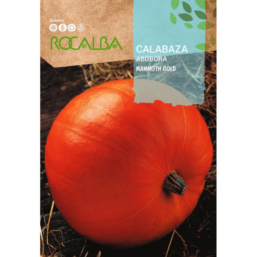 S.ABOBORA ROCALBA MAMMOUTH GOLD S.ABOBORA ROCALBA MAMMOUTH GOLD