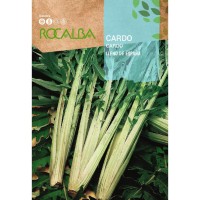 S.CARDO TRONCHUDO DA ESPANHA ROCALBA S.CARDO TRONCHUDO DA ESPANHA ROCALBA