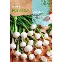 S.CEBOLA ROCALBA BRANCA DA RAINHA