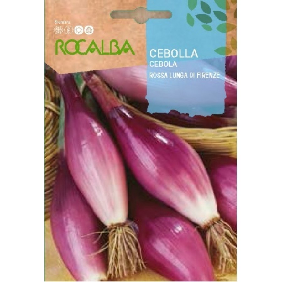S.CEBOLA ROCALBA VERMELHA LUNGA DI FIRENZE S.CEBOLA ROCALBA VERMELHA LUNGA DI FIRENZE