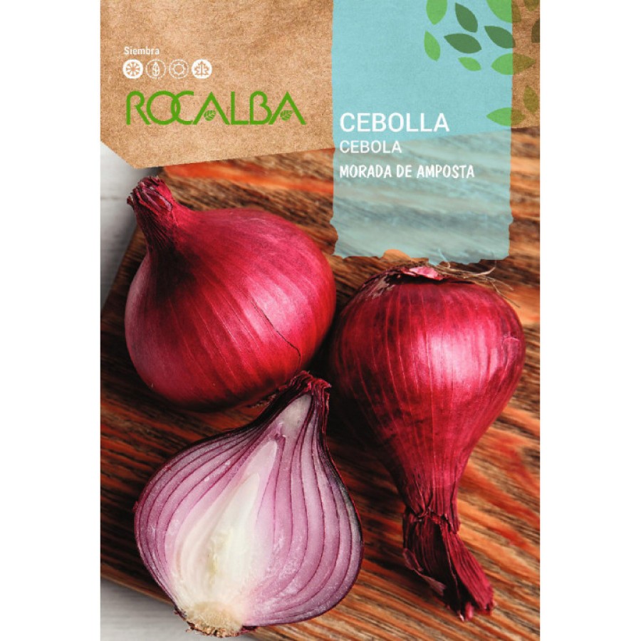 S.CEBOLA ROCALBA ROXA DE AMPOSTA