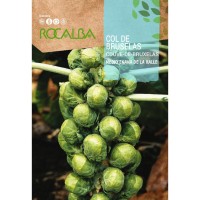 S.COUVE ROCALBA BRUXELAS SEMI-ANA HALLE