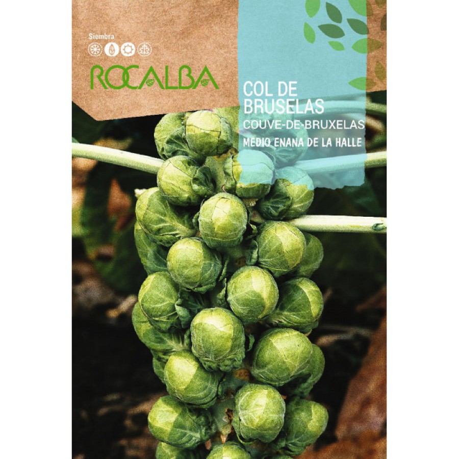 S.COUVE ROCALBA BRUXELAS SEMI-ANA HALLE -100 gramas