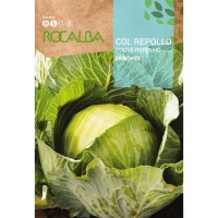 S.COUVE ROCALBA REPOLHO BRUNSWICK
