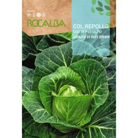 S.COUVE ROCALBA REPOLHO CORAÇÃO DE BOI S.COUVE ROCALBA REPOLHO CORAÇÃO DE BOI