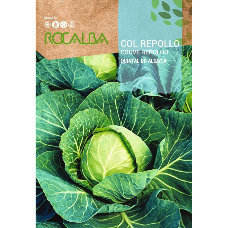 S.COUVE ROCALBA REPOLHO QUINTAL