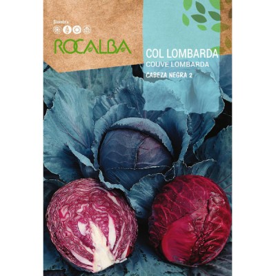 S.COUVE ROCALBA LOMBARDA CABEÇA DE NEGRO