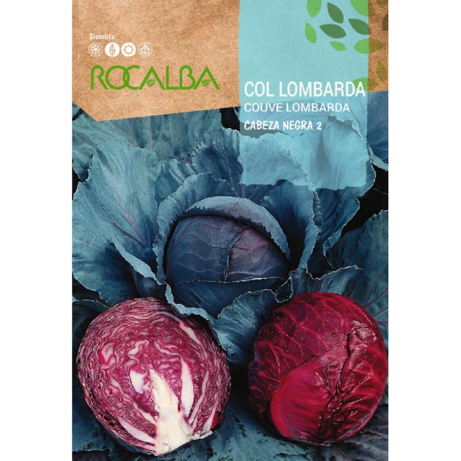 S.COUVE ROCALBA LOMBARDA CABEÇA DE NEGRO S.COUVE ROCALBA LOMBARDA CABEÇA DE NEGRO