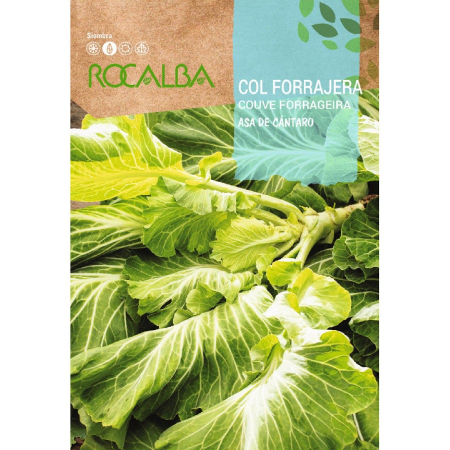 S.COUVE TRONCHUDA ROCALBA ASA DE CANTARO