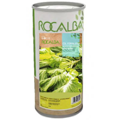 S.COUVE TRONCHUDA ROCALBA ASA DE CANTARO - 500G