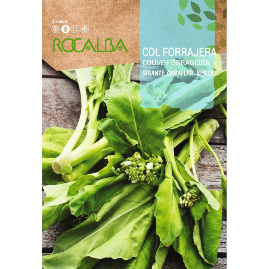 S.COUVE ROCALBA GALEGA GIGANTE - 100 gramas