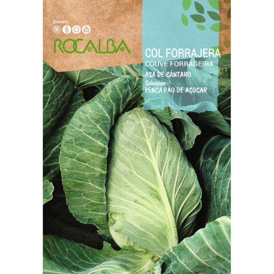 S.COUVE ROCALBA PAO DE AÇUCAR S.COUVE ROCALBA PAO DE AÇUCAR