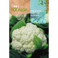 S.COUVE FLOR ROCALBA BOLA NEVE