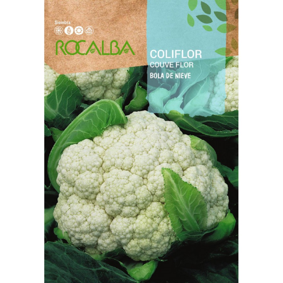 S.COUVE FLOR ROCALBA BOLA NEVE