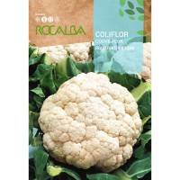 S.COUVE FLOR ROCALBA FRANKFURT