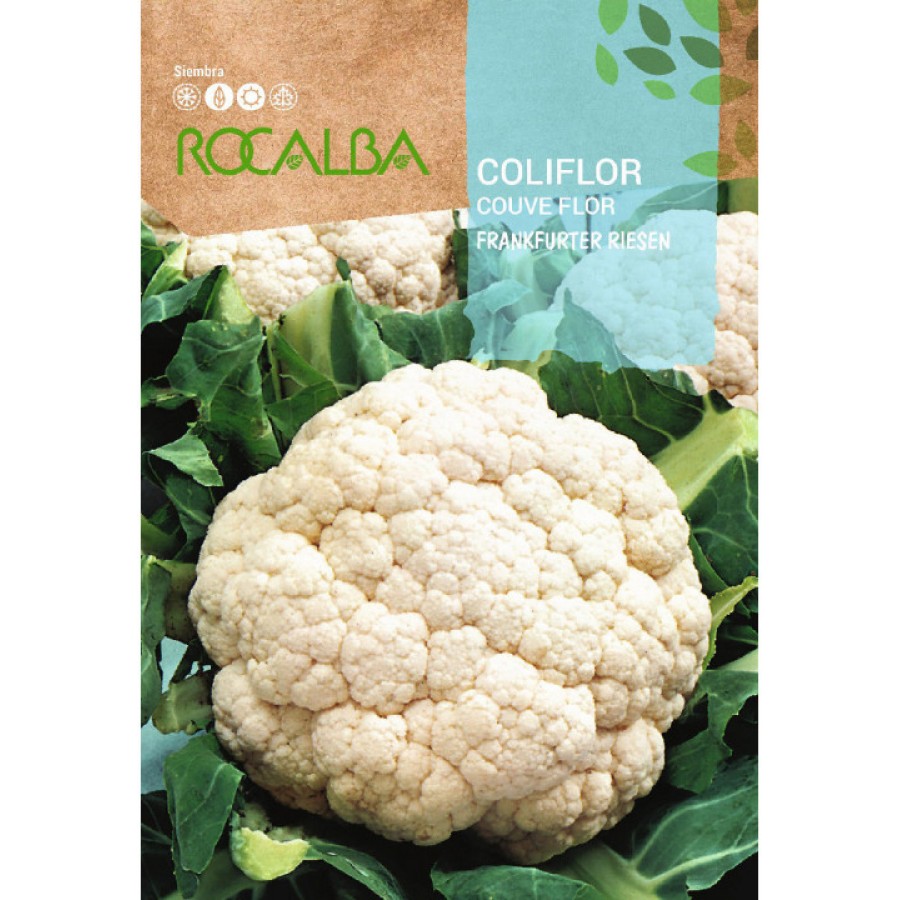 S.COUVE FLOR ROCALBA FRANKFURT - 100 GRAMAS