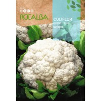 S.COUVE FLOR ROCALBA METROPOL