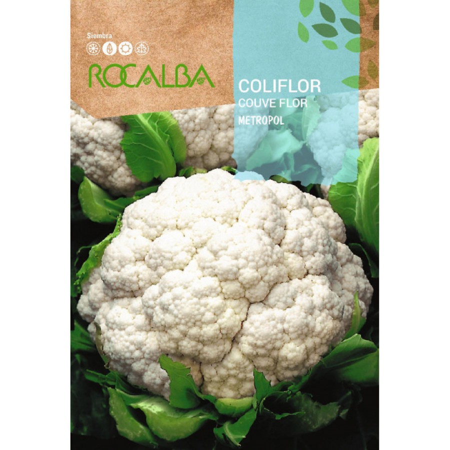 S.COUVE FLOR ROCALBA METROPOL
