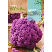 S.COUVE FLOR ROCALBA CATANESE