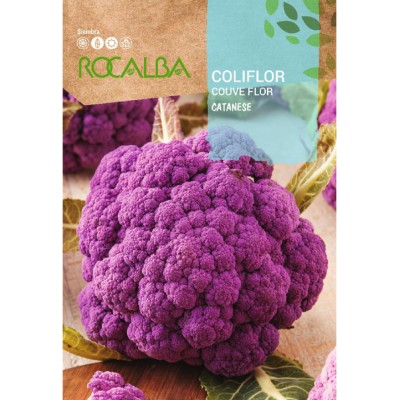 S.COUVE FLOR ROCALBA CATANESE